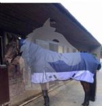 Fixed neck combo turnout rug